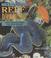 Cover of: Natural Reef Aquariums