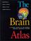 Cover of: The brain atlas