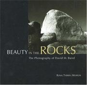 Cover of: Beauty in the Rocks: The Photography of David M. Baird