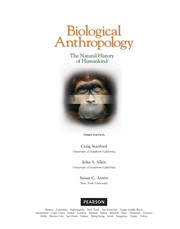 Cover of: Biological anthropology by Craig B. Stanford