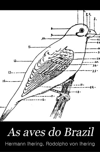 As aves do Brazil by Hermann von Ihering