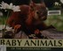 Cover of: Baby animals of the woodland forest