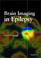 Cover of: Brain Imaging in Epilepsy