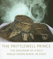The Prittlewell prince by Sue Hirst