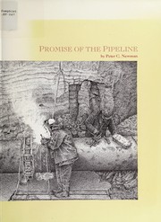 Cover of: Promise of the pipeline