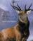 Cover of: Monarch of the Glen