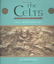 Cover of: The Celts by Juliette Wood