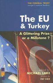 Cover of: The EU and Turkey by Michael Lake