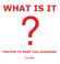 Cover of: What Is It?