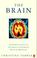 Cover of: The Brain