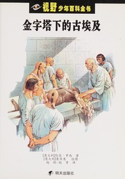 Cover of: Jin zi ta xia de gu Aiji by Rossi, Renzo