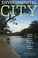 Cover of: Environmental city