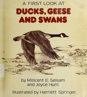 Cover of: A first look at ducks, geese, and swans