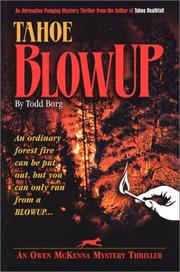 Cover of: Tahoe blowup by Todd Borg