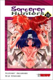 Cover of: Sorcerer Hunters #11 by Satoru Akahori