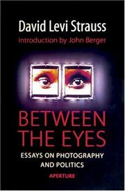 Cover of: Between the Eyes: Essays on Photography