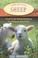 Cover of: Sheep