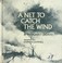 Cover of: A net to catch the wind