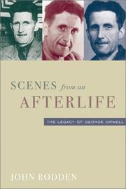 Cover of: Scenes from an afterlife by John Rodden