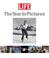 Cover of: Life