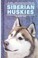 Cover of: Siberian Huskies