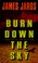 Cover of: Burn down the sky