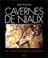 Cover of: Les cavernes de Niaux