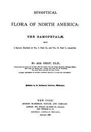 Cover of: Synoptical Flora of North America: The Gamopetalae, Being a Second Edition of Vol I Part II, and ...