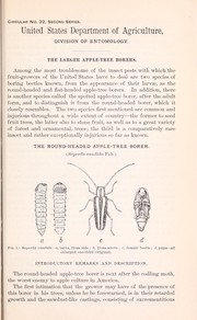 Cover of: The larger apple-tree borers