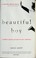 Cover of: Beautiful Boy: A Father's Journey Through His Son's Addiction