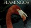 Cover of: Flamingos