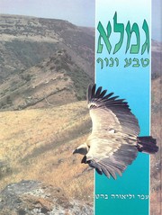 Gamla by Ofer Bahat