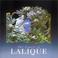 Cover of: Jewels of Lalique