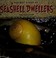 Cover of: Secret lives of seashell dwellers