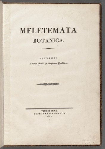 Meletemata botanica by H. W. Schott