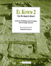 Cover of: El Kowm 2, une île dans le désert by Y. Stordeur