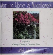 Cover of: Morning glories and moonflowers: a guide to climbing, trailing, and cascading plants