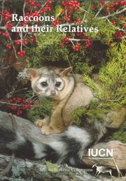 Cover of: Raccoons and their relatives. by Dr. David Stone