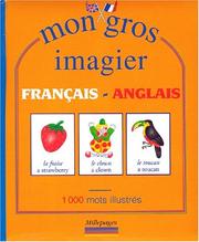 Cover of: Mon gros imagier français-anglais