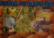 Oranges for Orange Juice (Learn to Read, Read to Learn) by Rozanne Lanczak Williams