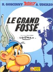 Cover of: Le Grand Fossé by Albert Uderzo