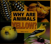 why-are-animals-yellow-cover