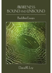 Cover of: Awarenes bound and unbound by David Loy