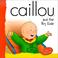 Cover of: Caillou and the Big Slide (Backpack (Caillou))