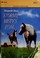 Cover of: Stormy, Misty's Foal