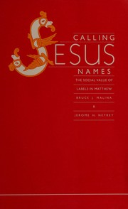 Cover of: Calling Jesus names: the social value of labels in Matthew