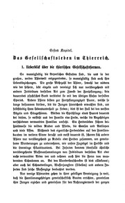 Cover of: Vergleichende studien über das seelenleben der ameisen und der höhern thiere. by Wasmann, Erich