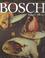 Cover of: Hieronymus Bosch.