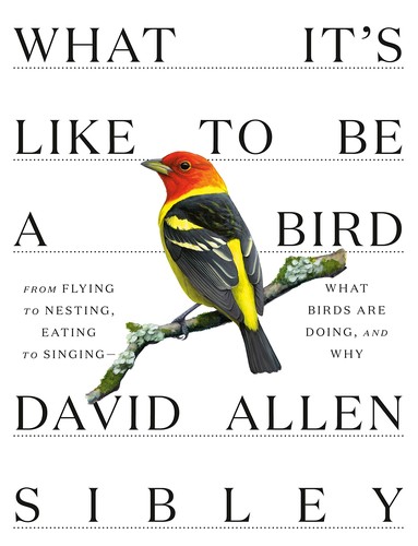 What It's Like to Be a Bird: From Flying to Nesting, Eating to Singing--What Bir