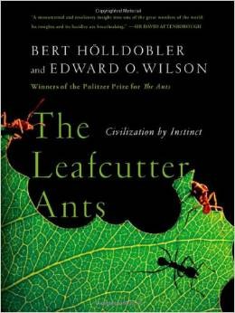 Image 0 of The Leafcutter Ants: Civilization by Instinct